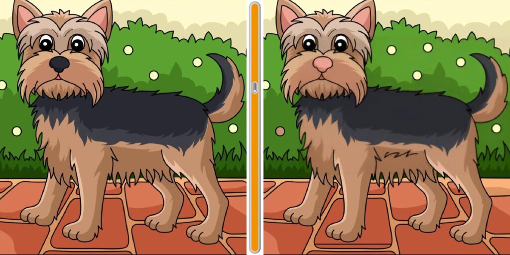 Sfida visiva : scopri le sei differenze nascoste tra queste due immagini di un adorabile cane in meno di 15 secondi! Metti alla prova la tua attenzione e velocità osservativa.