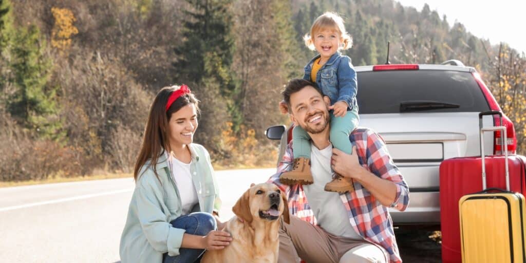 Cosa fare e cosa non fare quando si viaggia con gli animali domestici: guida essenziale per un viaggio a quattro zampe sereno e sicuro